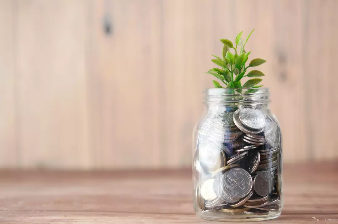 A seedling in a jar filled with coins symbolising wealth.